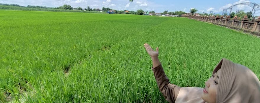 Reco Banteng Hayam Wuruk