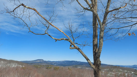 Whitten Woods Trailhead