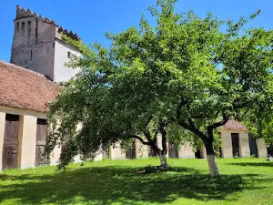The Fortified Church of Codlea