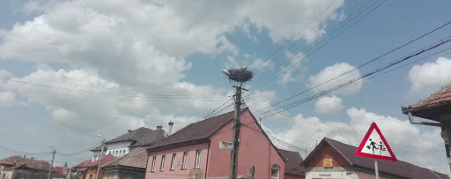 Muzeul Satului