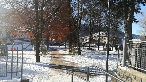 卡斯特羅迪費耶美