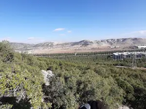 Jandarma Hatıra Ormanı