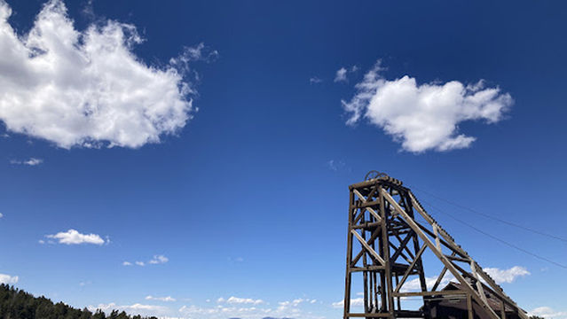 Rita the Rock Planter