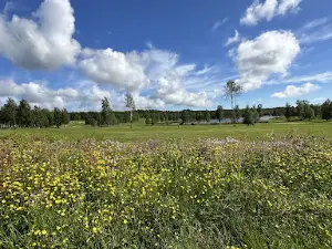 Örnsköldsviks Golfklubb Puttom