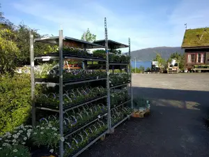 Ole Myren Gardening