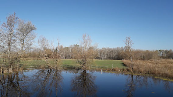 Réserve Naturelle Des Confines
