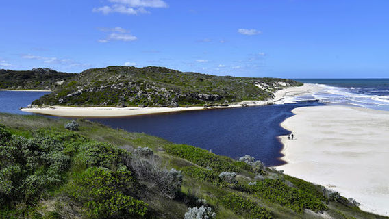 Moore River Tours