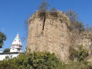 Shahpurkandi Fort