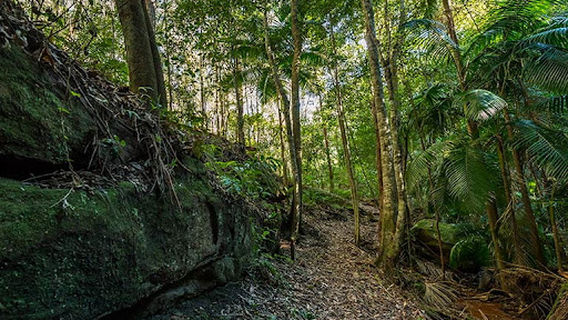 Jilliby State Conservation Area