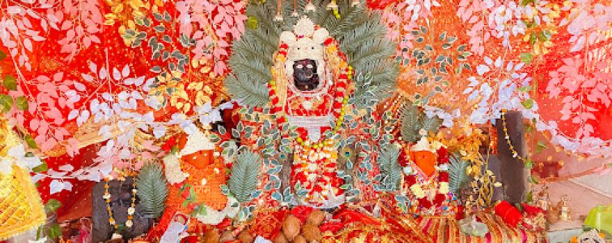 Pali Mata Mandir