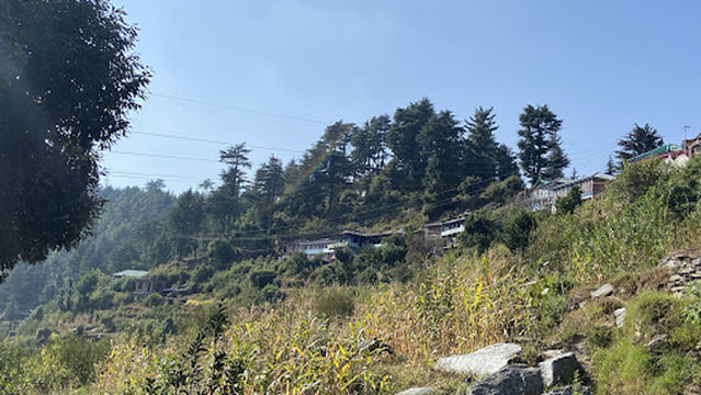 Maharana Pratap Chauraha