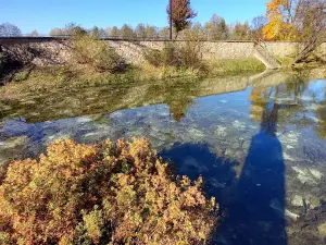 Scarp in Janow Lubelski