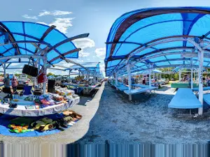 Marché Aux Puces le Toit Bleu