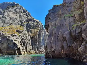 Discovery Sea Adventure Tours