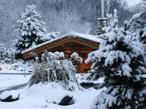 Sauna embricana