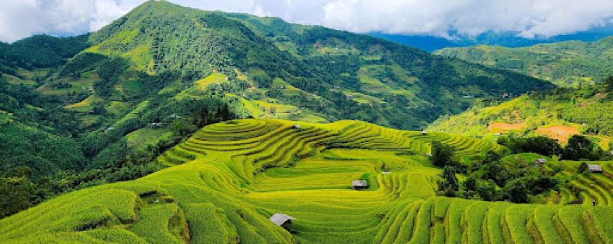 Ruộng bậc thang Chư Sê