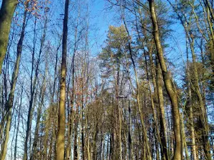 Park-šuma Slatina