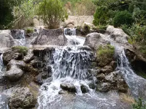 Ayse-zeki Doğan Memorial Forest