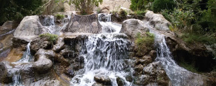 Ayse-zeki Doğan Memorial Forest