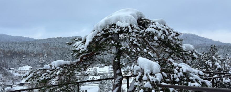 Aussichtsfelsen Rabenstein bei Finkendorf