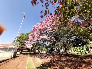 Ipês Park