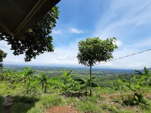 Jubang Stone Hill