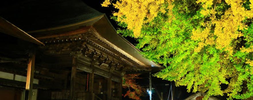 Yakuoji