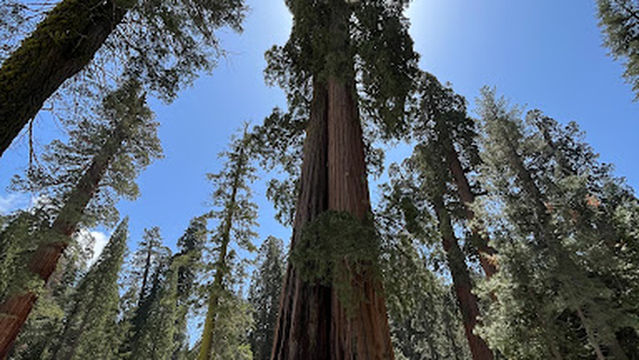 Lemon Cove Village RV Park Campground