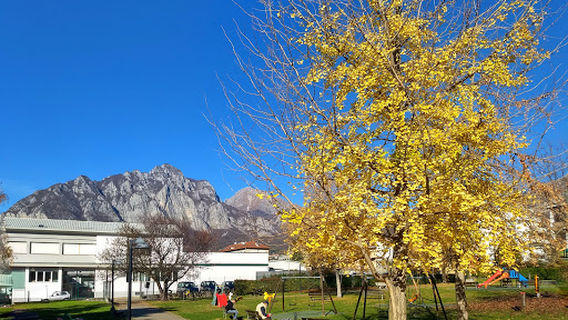 Lecco