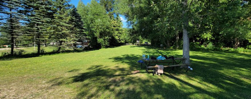 Willow Day Park
