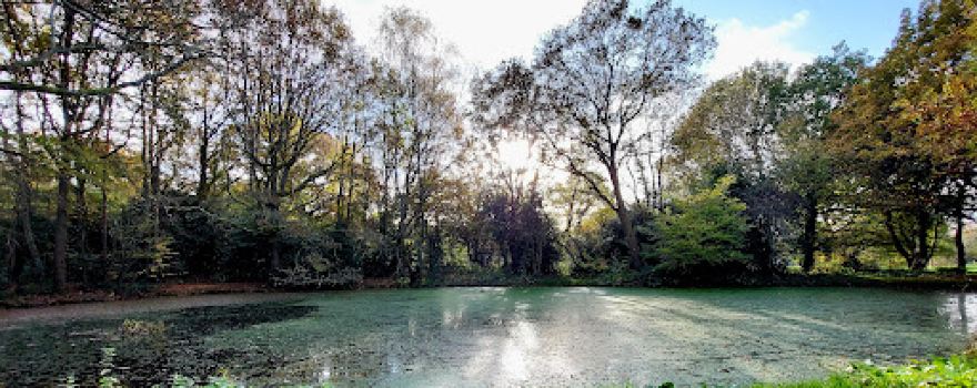 Chelsham Common