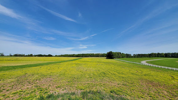 Temple Hall Farm