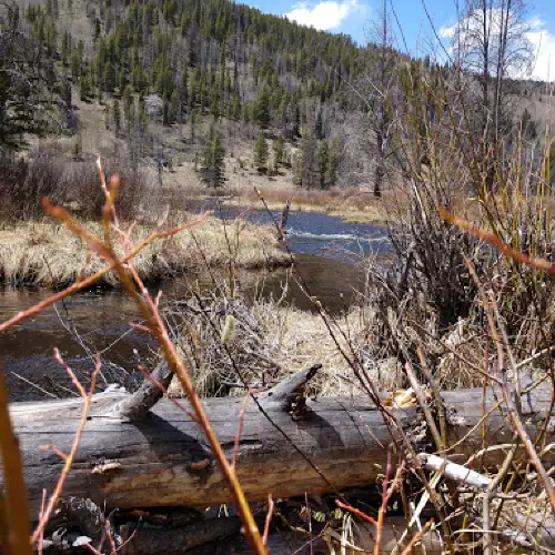 Palisade Campground