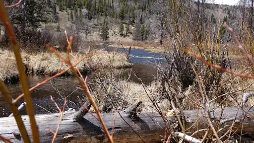 Palisade Campground