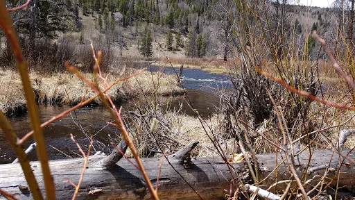Palisade Campground