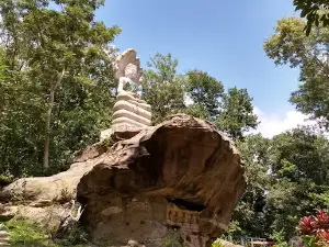 Wat Pa Khao To Mu 19