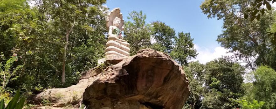 Wat Pa Khao To Mu 19