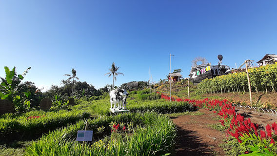 Banyuwangi Regency
