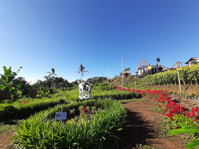 Pemandian Tamansuruh.