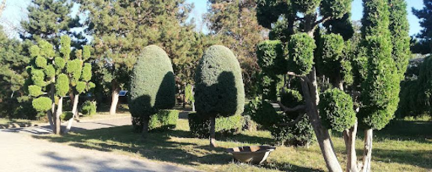 Parcul Central