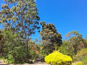 Bodhinyana Buddhist Monastery