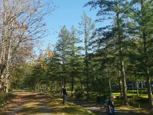 Weaver Creek Spawning Channel