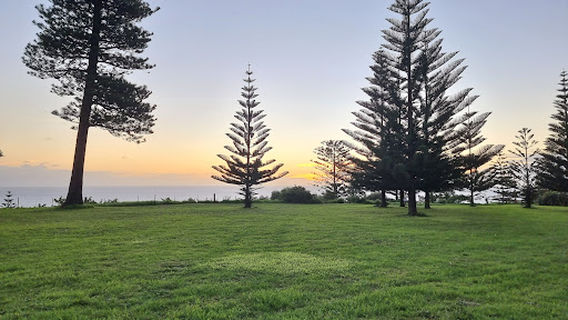 Strawberry Fields & Hedge Maze