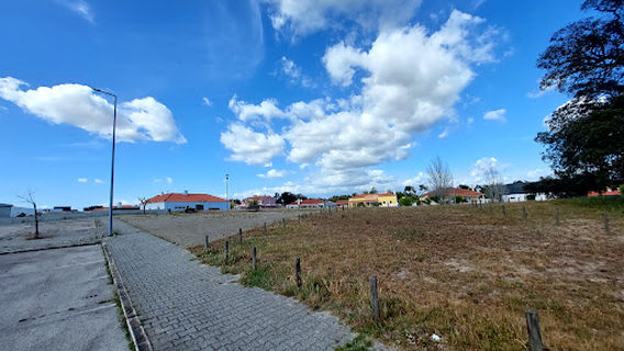 Sobreiro Assobiador de Águas de Moura