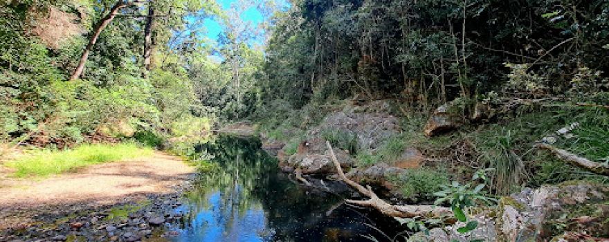 Neurum Creek camping area, D'Aguilar National Park