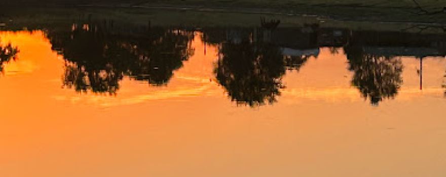 Scott Lake Park