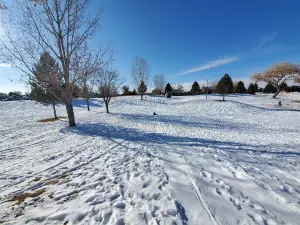 Constitution Park