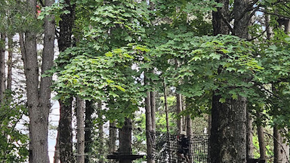 Avanturisticki Park Kolasin