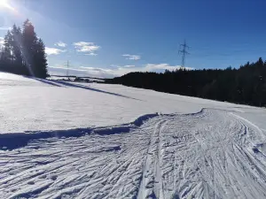 Nordic-Park-Aalen