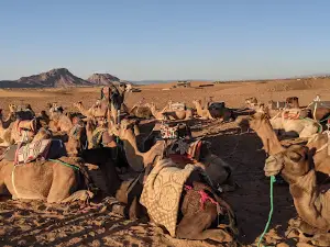 Désert de Zagora